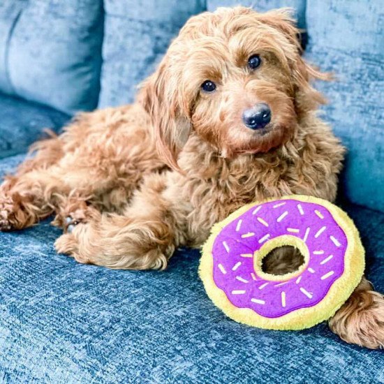 Doughnut Chew Toy Prop
