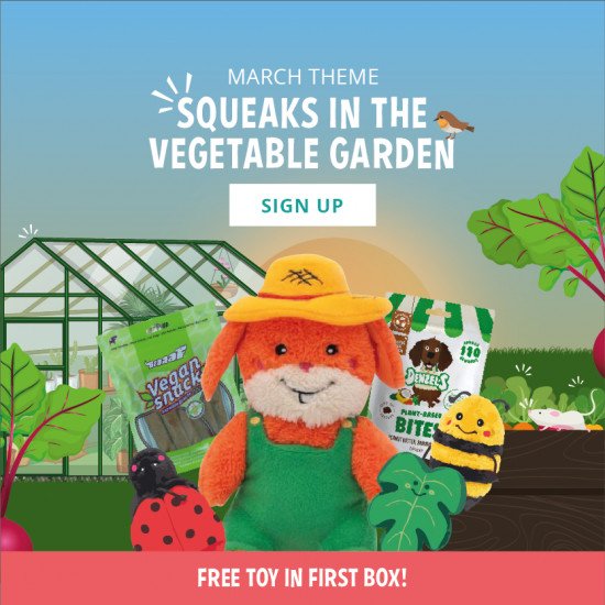 Snuffelbox March theme '22