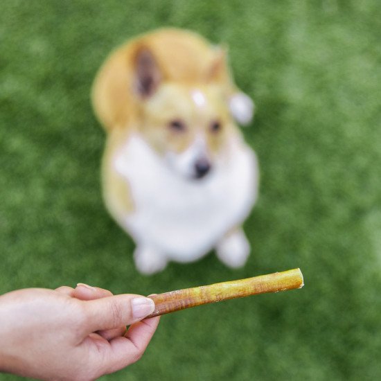 Junior Bully Sticks