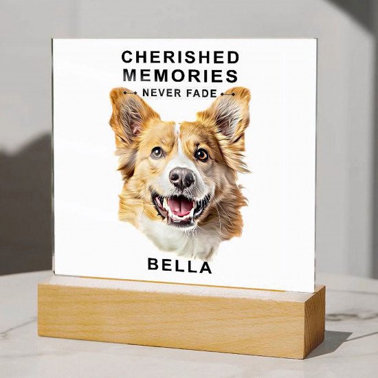 Custom Memorial Plaque from your photo