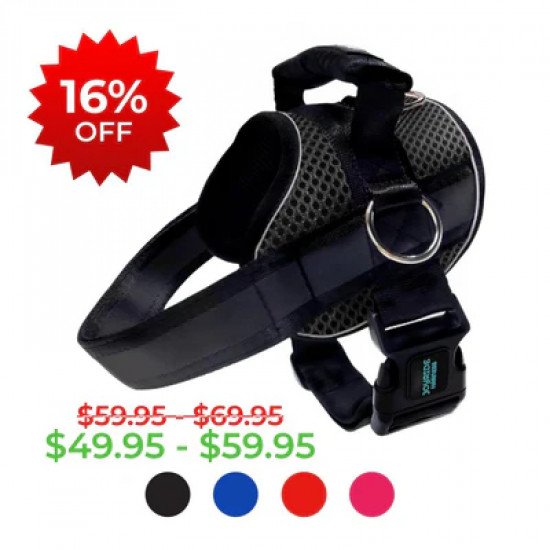 Joyride Summer Mesh 2.0 Dog Harness