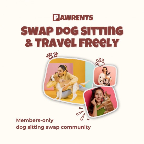 Dog Parents Community