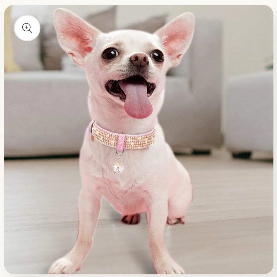 Bling Collar