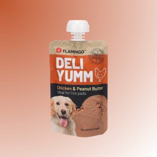 Snacks Deli Yumm Paste with Chicken & Peanut Butter