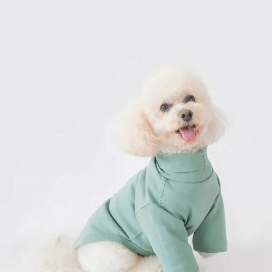 Best Buddy Shirt - Mint Green