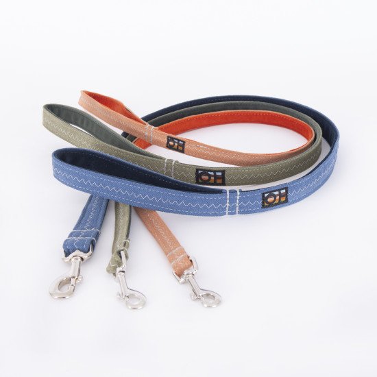Dog Leads