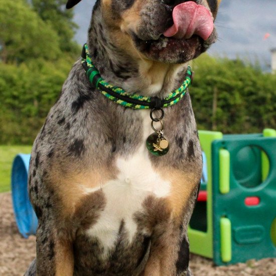 Rope collar