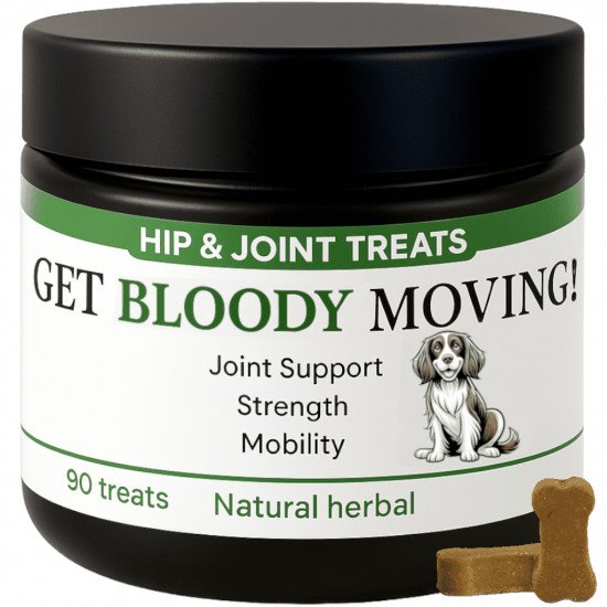 Get Bloody Moving