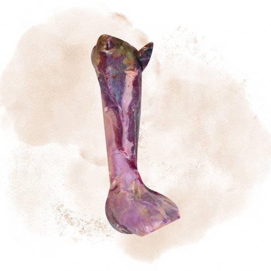 Snacks Nature Ham Bone