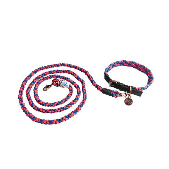 BetterLeash - 100% Fairtrade Recycled Ocean Bound Plastic Dog Leash & Collar Combo in Multi