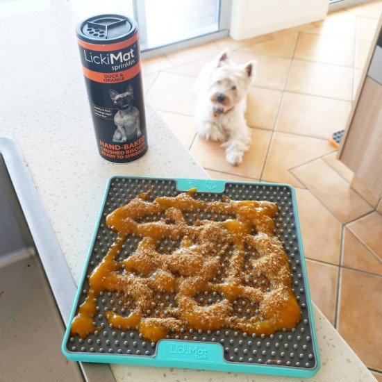 LickiMat Buddy Dog or Cat Slow Feeder Treat Maze Mat Soothing - Vet  Developed